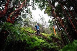 BIB: 
                            <button type="button" onclick="openModal(26201504)" class="btn btn-primary btn-sm float-right btn-popup" data-toggle="modal" data-target=".modal-high-quality">
                        <i class="fas fa-shopping-cart"></i> Add to Cart
                    </button>
                                            <button type="button" onclick="isThisMe(26201504, true)" class="btn btn-success btn-sm float-right btn-popup btn-isme hidden" data-toggle="tooltip" data-placement="bottom" title="นี่คือรูปของคุณใช่ไหม คลิกที่นี่เพื่อเอาเข้าอัลบั้ม">
                        <i class="fas fa-plus"></i> Add to album
                    </button>
                    <button type="button" onclick="isThisMe(26201504, false)" class="btn btn-warning btn-sm float-right btn-popup btn-isnotme hidden">
                        <i class="fas fa-ban"></i> Remove from album
                    </button>